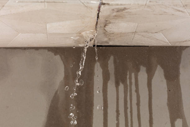 Professional Water Extraction technician working in Rome, IL